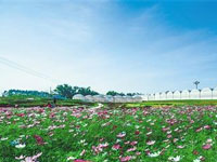 與河北省生態(tài)文明建設(shè)促進會合作，提供單位官網(wǎng)網(wǎng)站改版工作