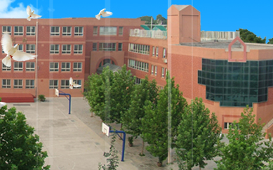 藍(lán)點助力石家莊中華大街小學(xué)，網(wǎng)站改版升級