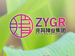 【簽約】河北兆育種業(yè)集團(tuán)有限公司，簽署網(wǎng)站改版升級(jí)合同