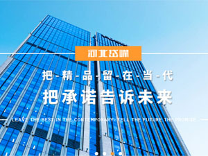 河北岱嶸建設(shè)有限公司，與我公司簽署網(wǎng)站建設(shè)合同