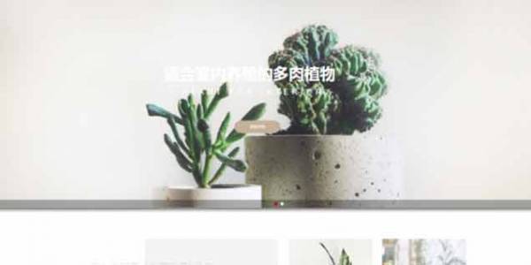 如何開(kāi)發(fā)公司網(wǎng)站制作Web 前端？