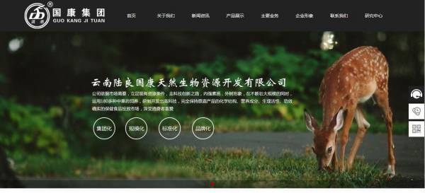 企業(yè)網(wǎng)站建設(shè)對該網(wǎng)站中不同欄目的具體分類