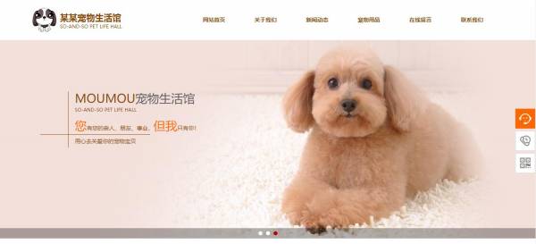 企業(yè)網(wǎng)站建設(shè)，插畫形象當(dāng)作網(wǎng)站中主體