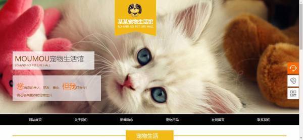 企業(yè)網(wǎng)站建設(shè)，網(wǎng)站性價(jià)比高