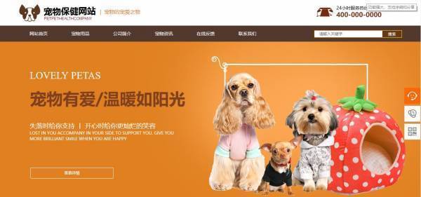 公司網(wǎng)站制作，明確建站目的和功能定位